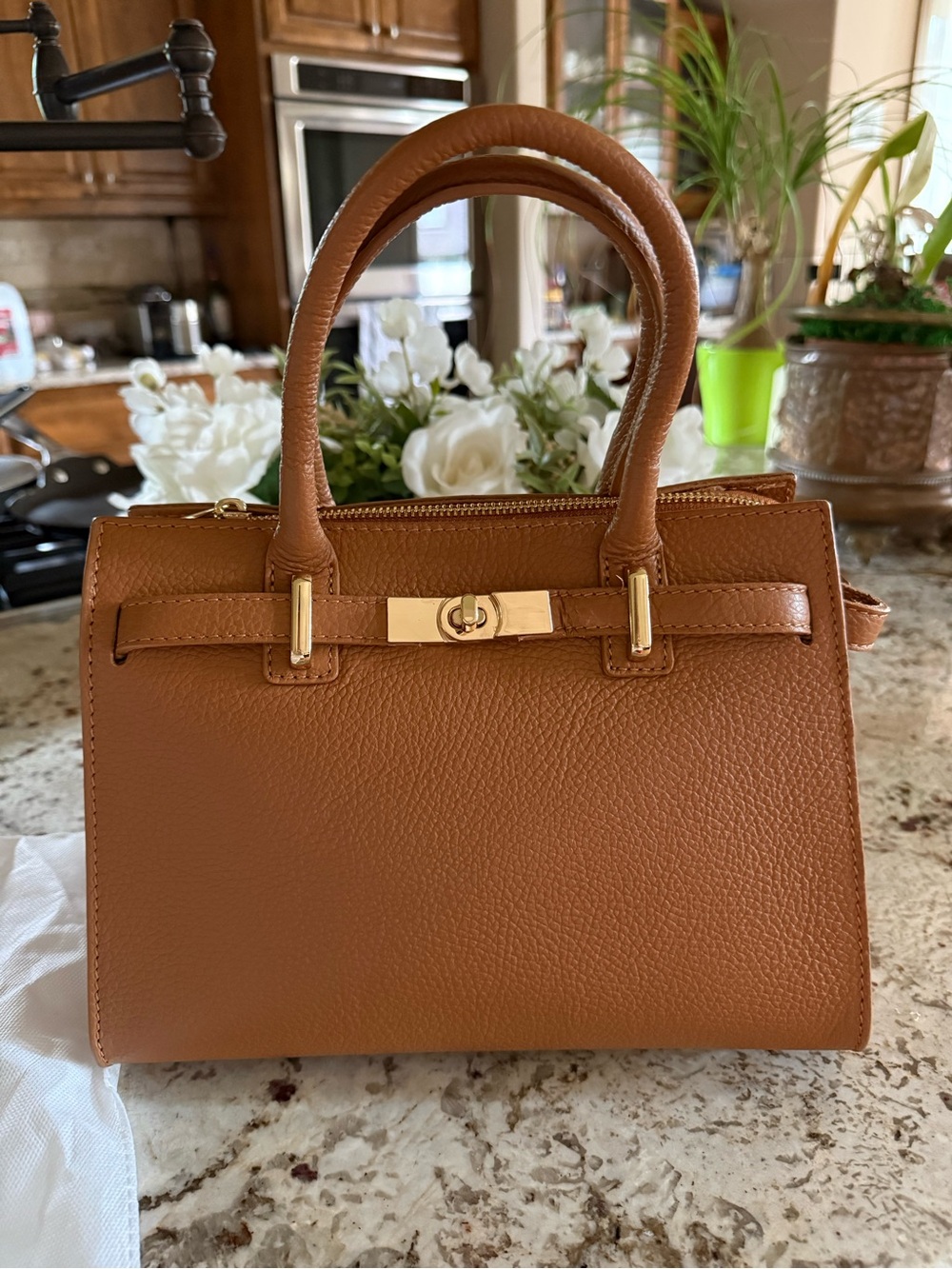 Classic Structured Top-Handle Leather Satchel in Tan